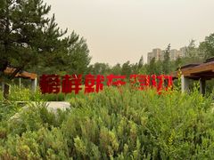 -成吉思汗公园