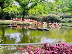 -上海野生动物园