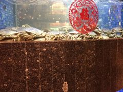 -乾隆美食·本帮菜(黄河路店)