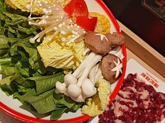 -陈记顺和潮汕牛肉火锅(棠德南路店)
