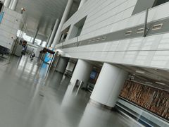 -郑州新郑国际机场-T2航站楼