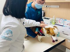 -谐和贝康宠物医院24小时·宠保定点(急重症转诊中心)