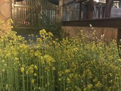 -宝翠花园餐厅(沙湖店)