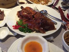 -名门金宴