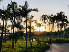 -宝安西湾红树林湿地公园