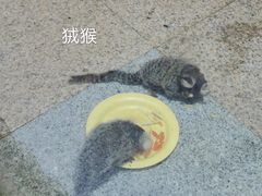 -上海大自然野生昆虫馆(东方明珠·爬宠昆虫探索中心)