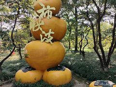 -西溪国家湿地公园