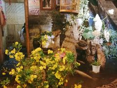 -多哥水傣味餐厅(司马巷店)