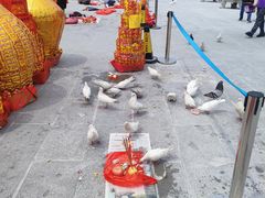 -悦城龙母祖庙
