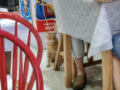 -云晓光头烧烤吧(新大陆广场店)