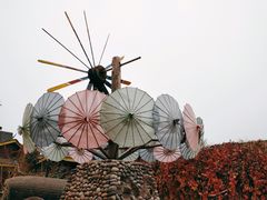 -呀路古热带植物园