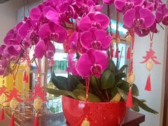 -全聚德烤鸭店(马家堡店)