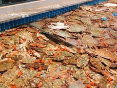 -一方渔歌蒸汽海鲜自助(文化路万达广场店)