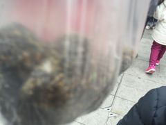 -叶氏麻糍(鼓浪屿店)