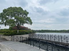 -上海都市菜园