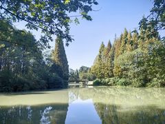 -桤木河湿地公园