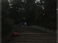 -大塘金香草谷