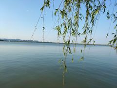 -南湖国家城市湿地公园