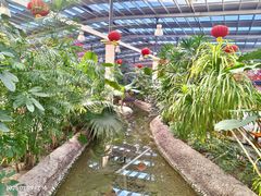 -兴芮温泉度假区