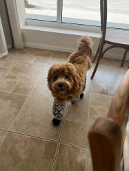 -WAVE SODA摄影工作室