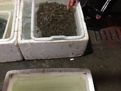 -江杨农产品批发市场