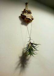 -大象造型