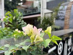 -云里小坐·小院里·团建·宴请·下午茶(三圣乡店)
