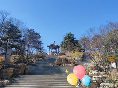 -大兴滨河森林公园