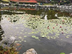 -金银湖国家城市湿地公园