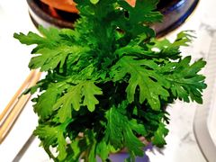 篙子杆-丁卯•铜锅涮肉(工体店)