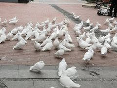 -王府井奥莱临潼小镇(临潼店)