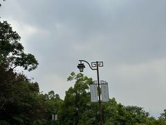 -杭州半山国家森林公园