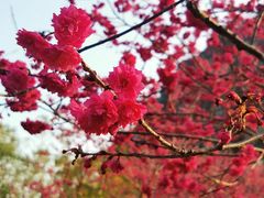 -南溪山景区