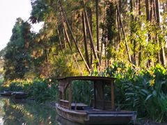 -上海长兴岛郊野公园