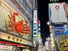 -蟹道乐(道顿堀本店)