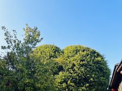 景点-三坊七巷历史文化街区