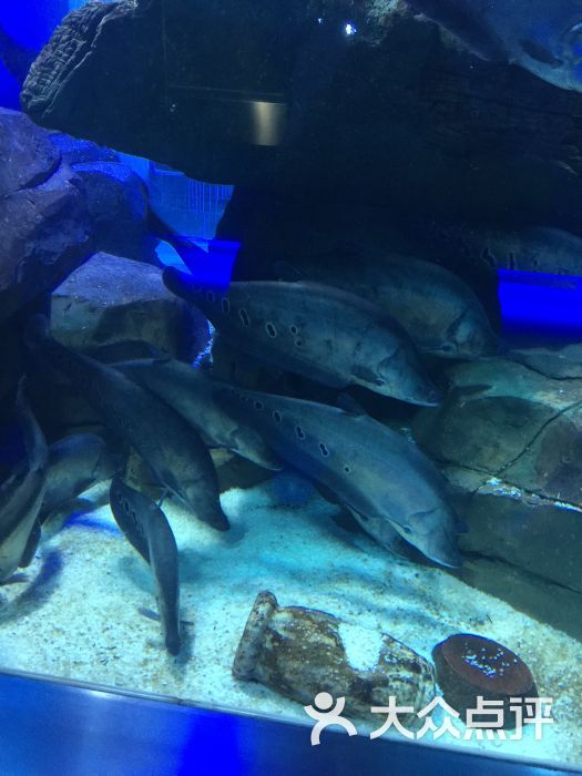 石家庄海悦天地海洋公园图片 - 第2张