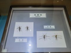 -上海昆虫博物馆