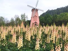 -顺峰山公园
