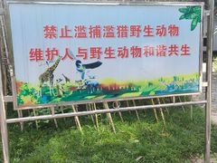 -素山寺森林公园