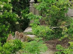 -苏州上方山国家森林公园