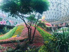 -花之城