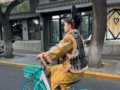 -北京国子监胡同