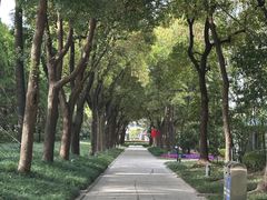 -宋庆龄陵园