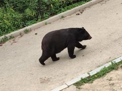 -大连森林动物园