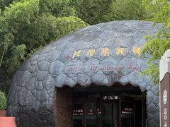 -中国西峡恐龙遗迹园