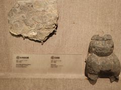 -南越王博物院(王宫展区)