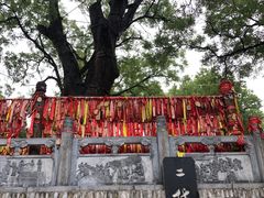 -大槐树寻根祭祖园