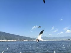 -海埂大坝
