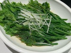 云南佛手瓜尖-七号湘(南湖路店)